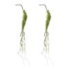 Moss Foliage Vine Branch (Set of 2)